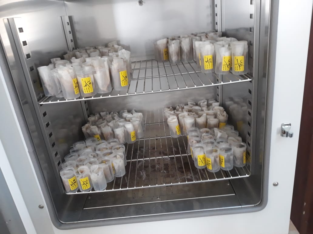 70923872_377212169855978_3034809644947079168_n