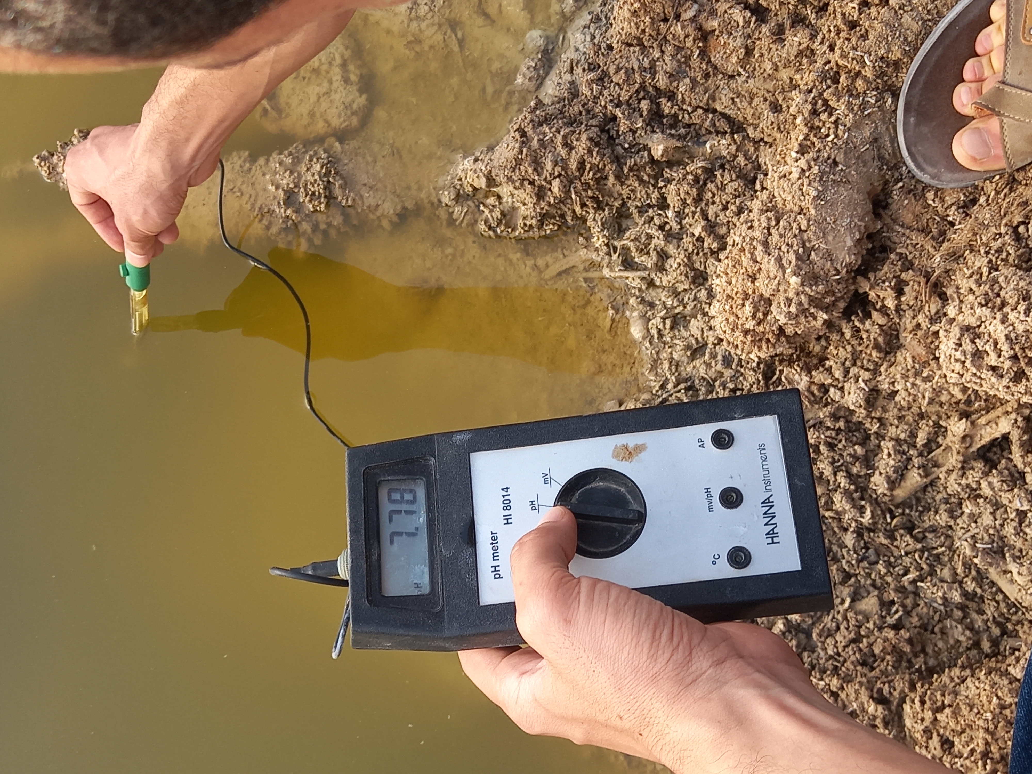 ٢٠٢١٠٩١٧_١٧٣٠٣٢