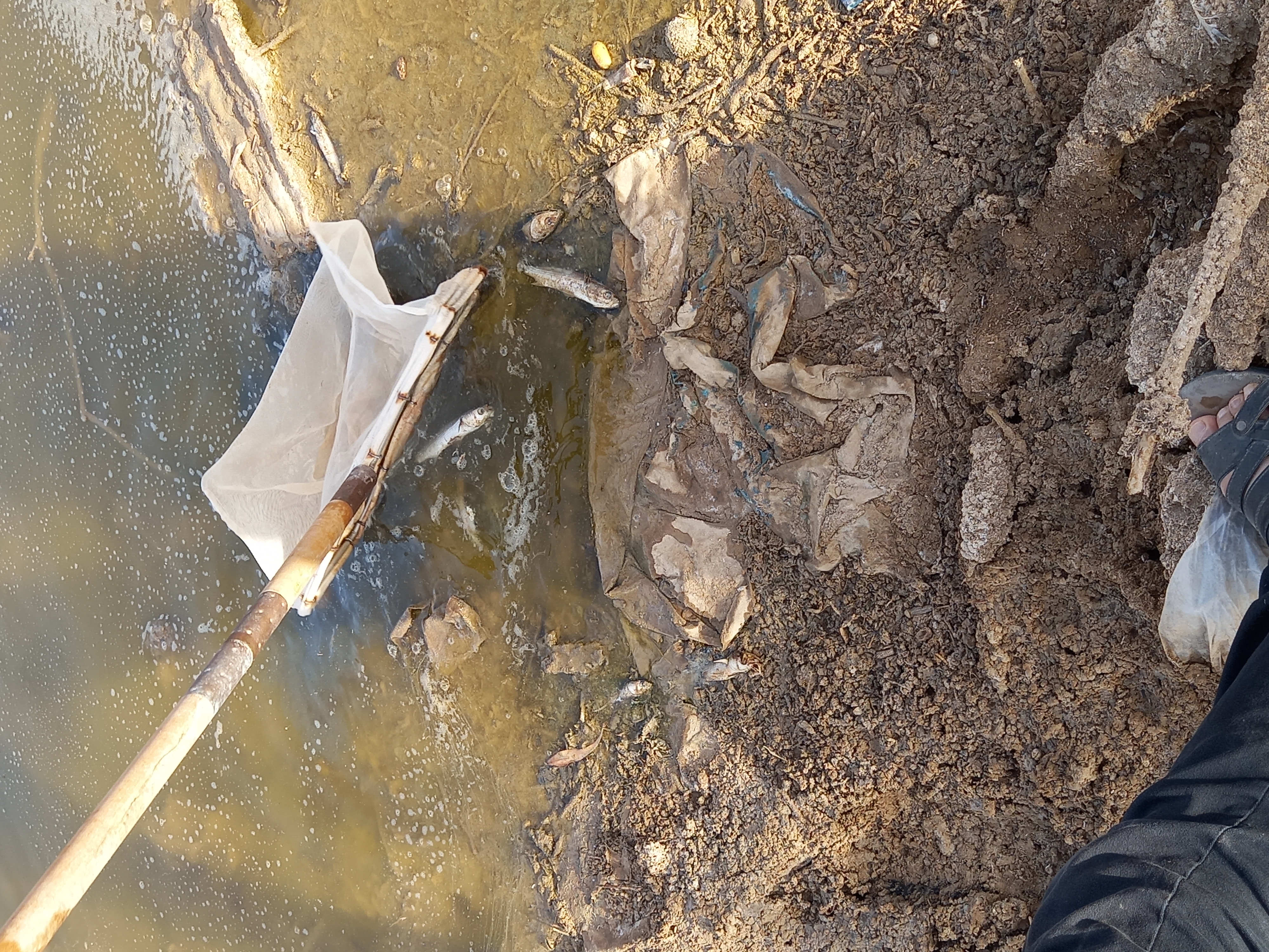 ٢٠٢١٠٩١٧_١٧٣٦٠٠