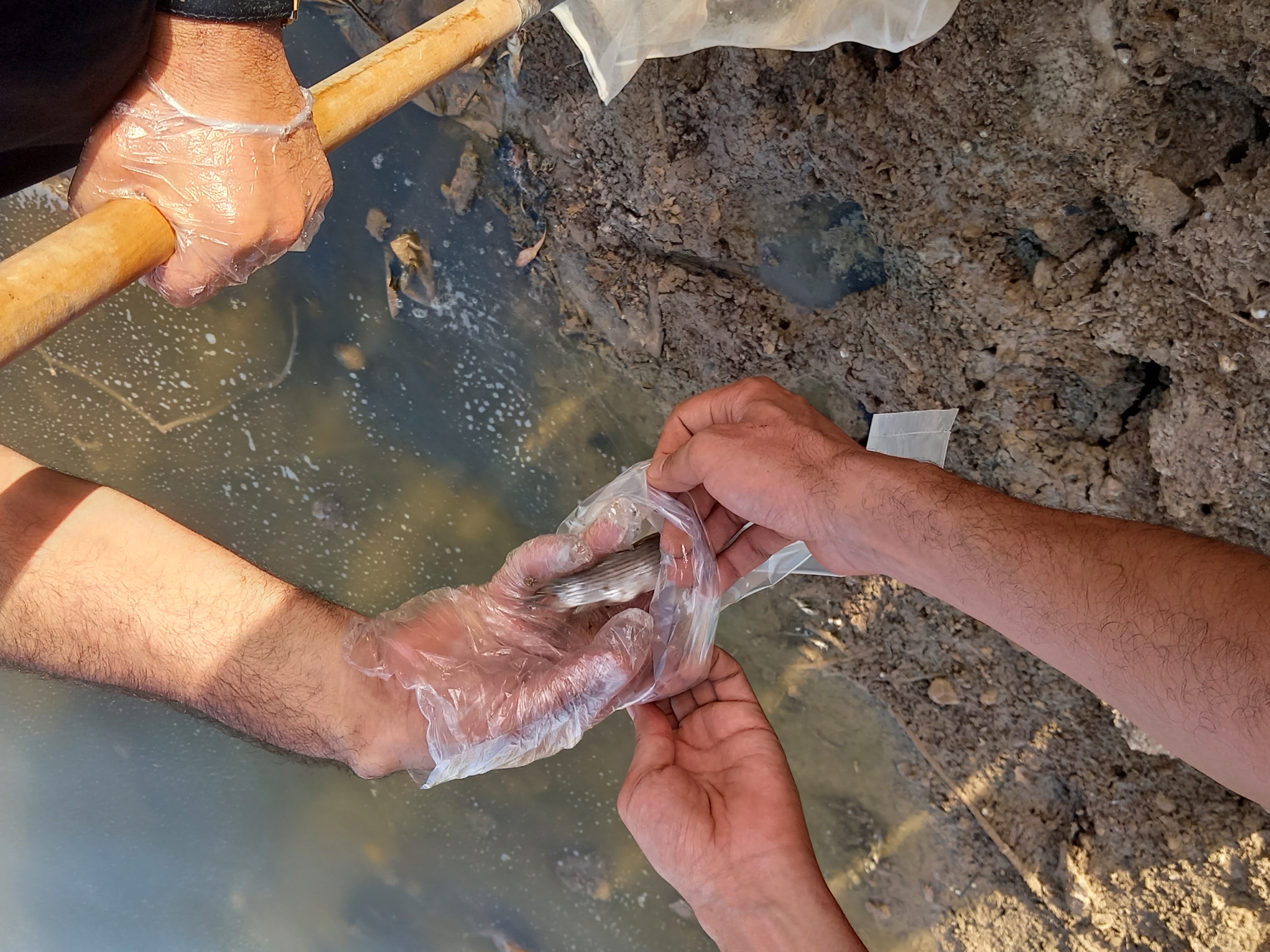 ٢٠٢١٠٩١٧_١٧٣٦١٩