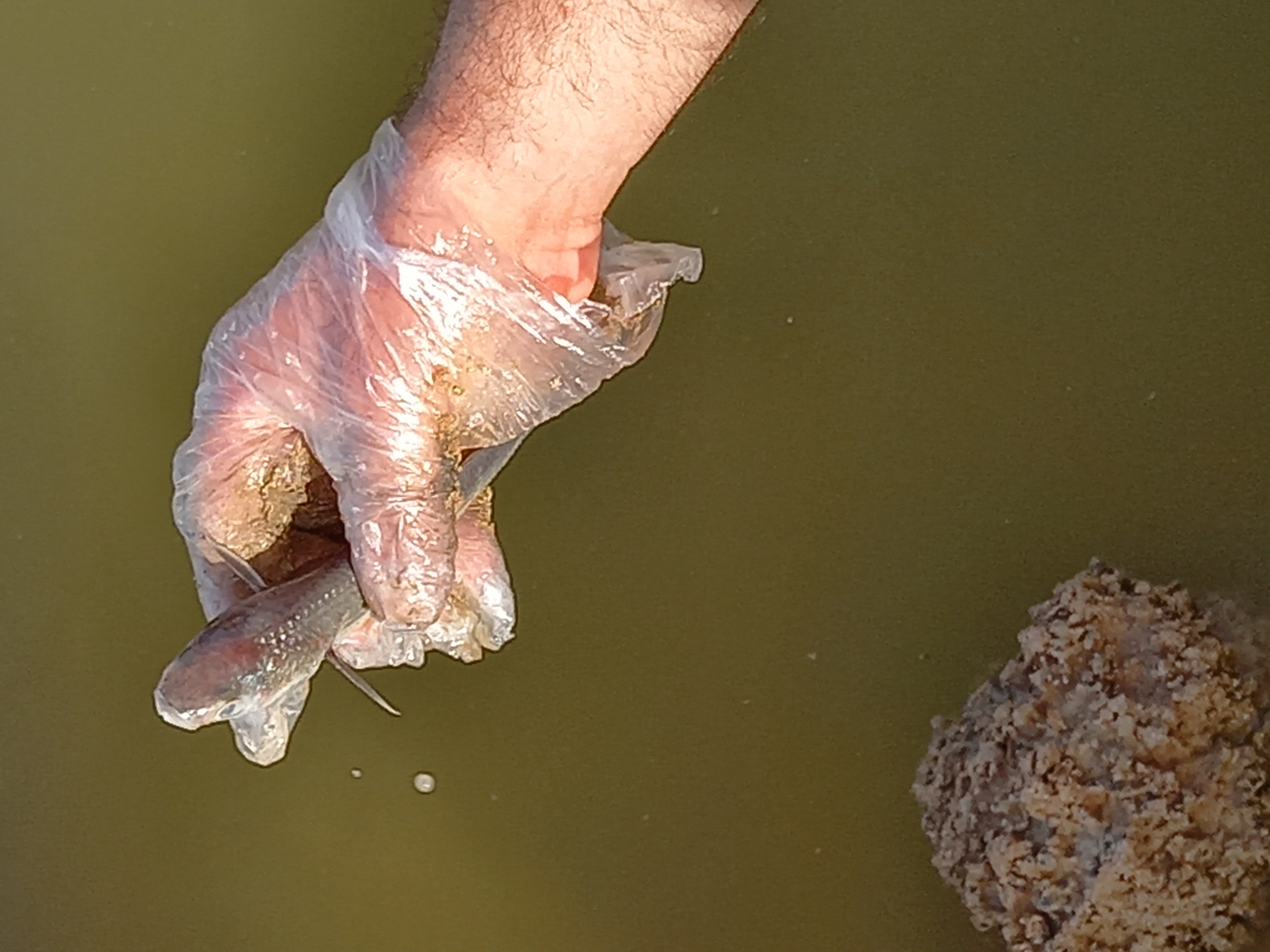 ٢٠٢١٠٩١٧_١٧٣٨٤٣