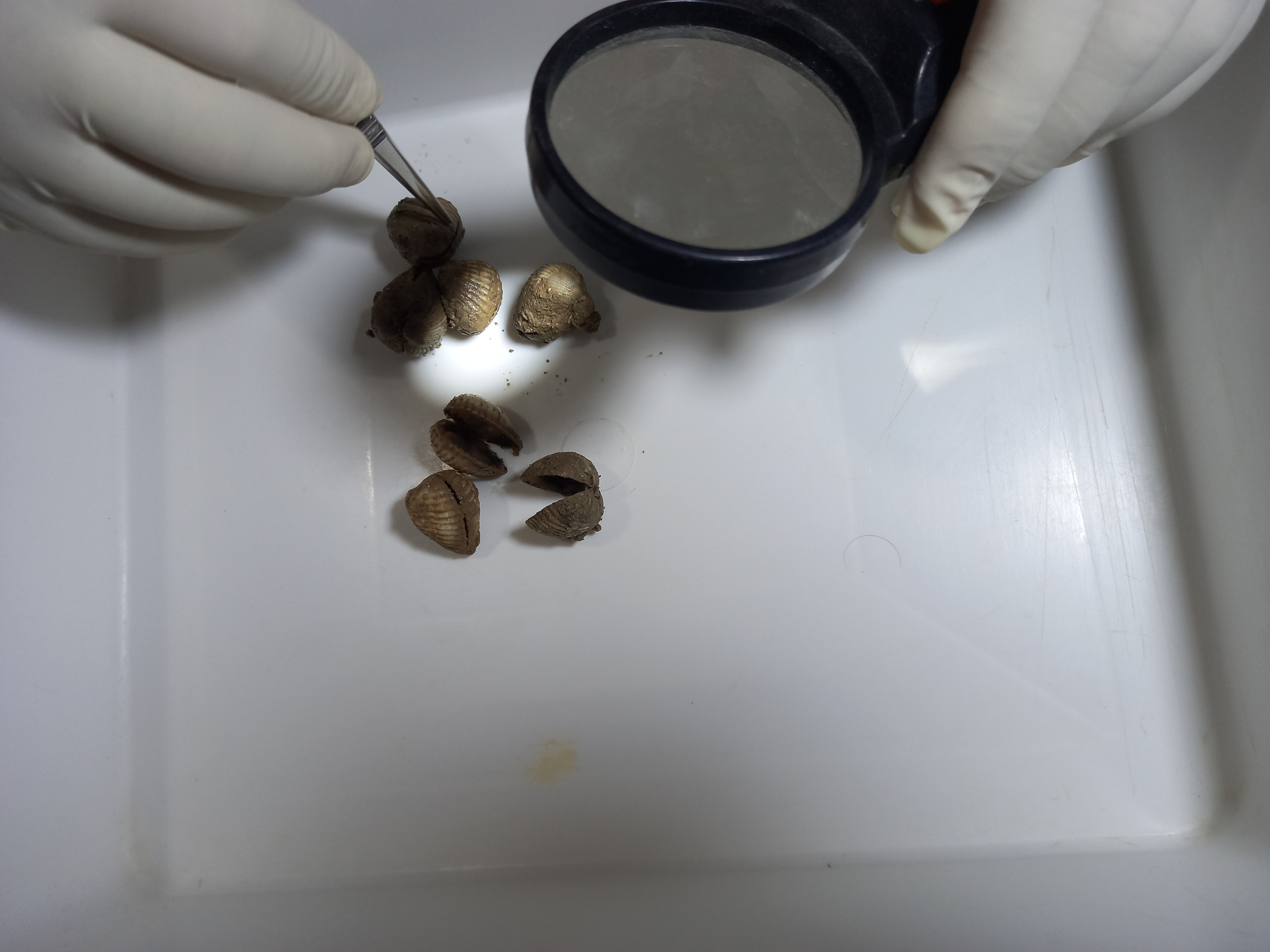 ٢٠٢١٠٩١٩_٢٢٥٤٠٢