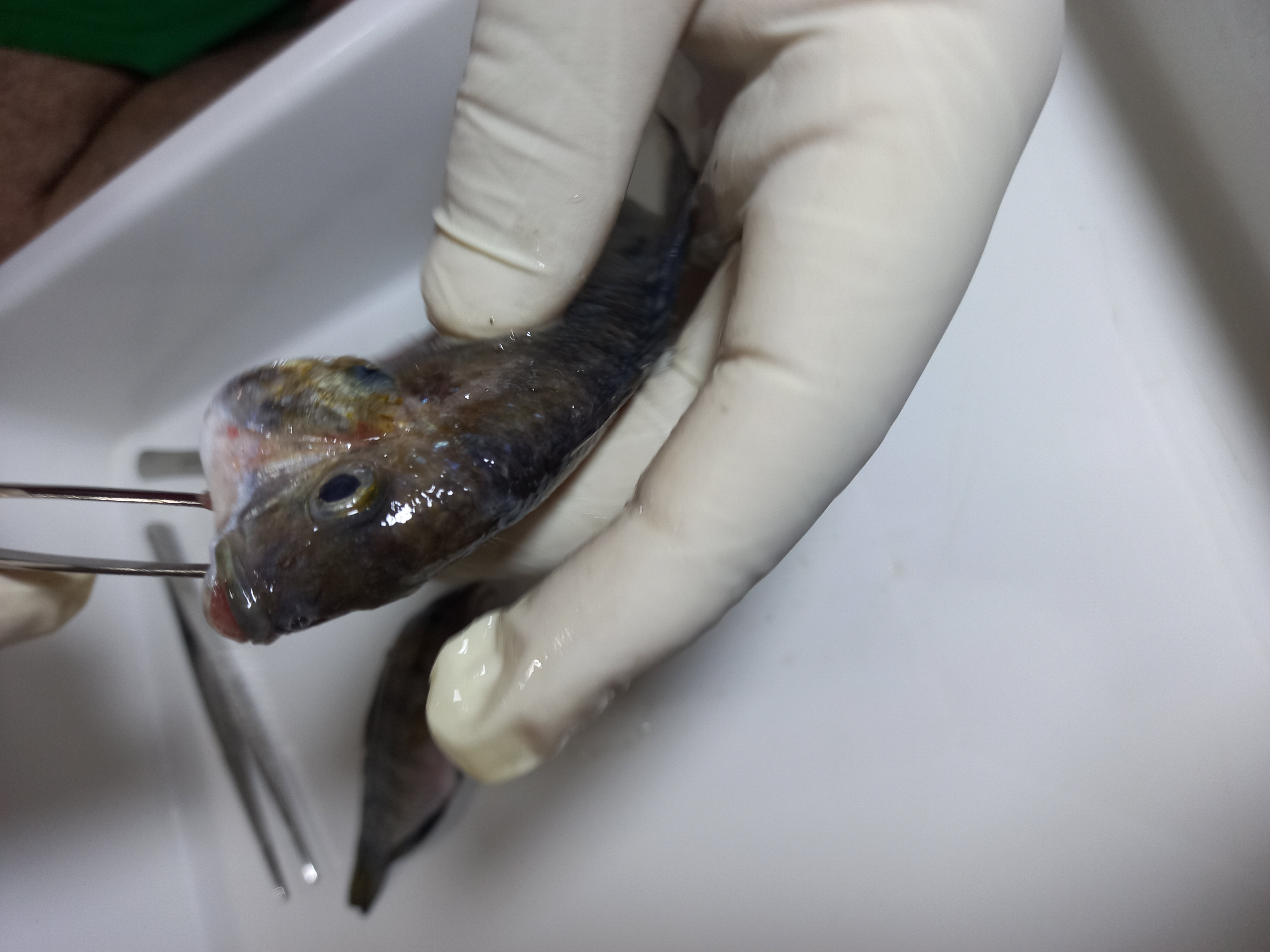 ٢٠٢١٠٩١٩_٢٢٥٧٥٣