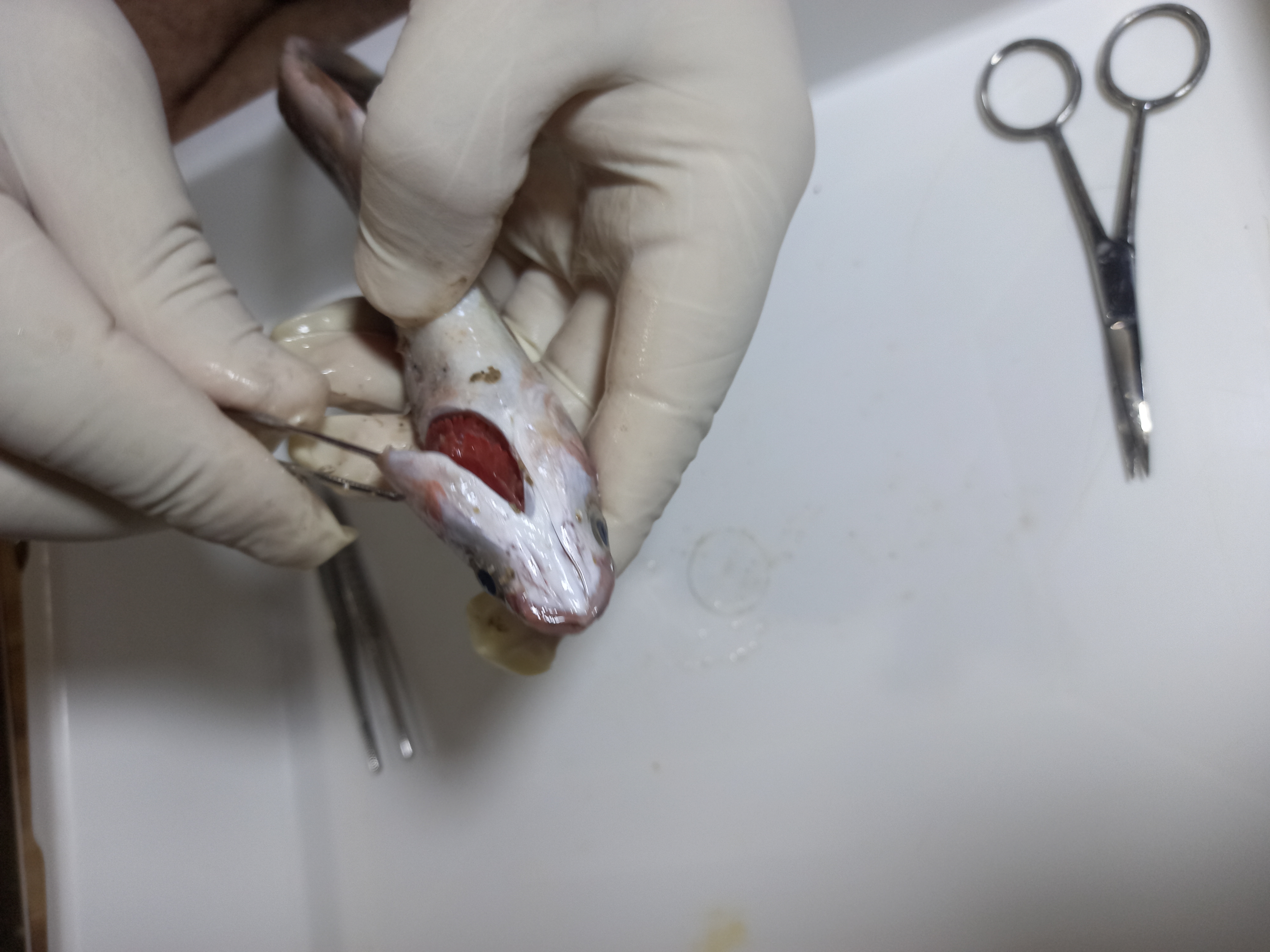 ٢٠٢١٠٩١٩_٢٢٥٨٤٠