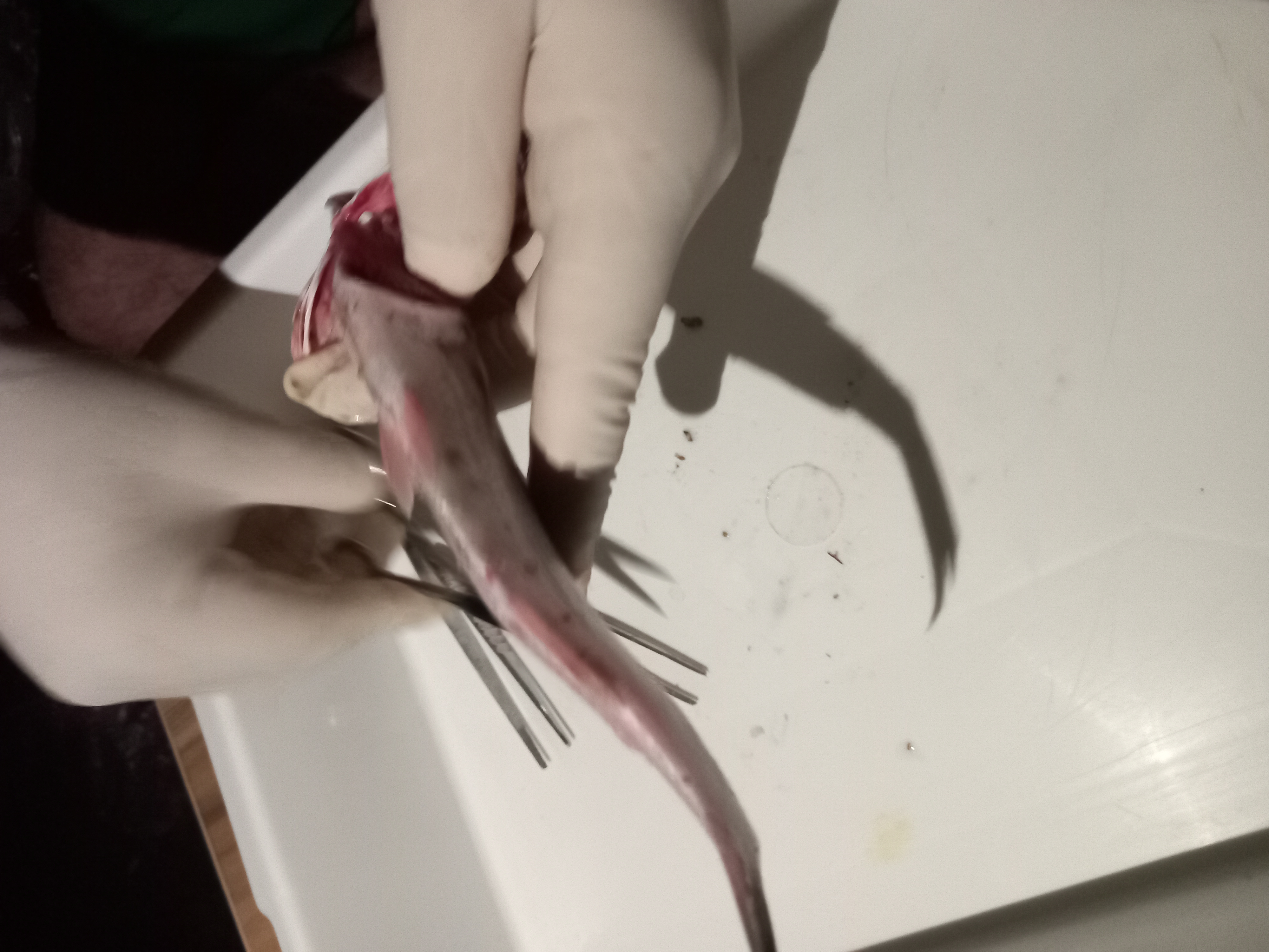 ٢٠٢١٠٩١٩_٢٣٠٢٤٠