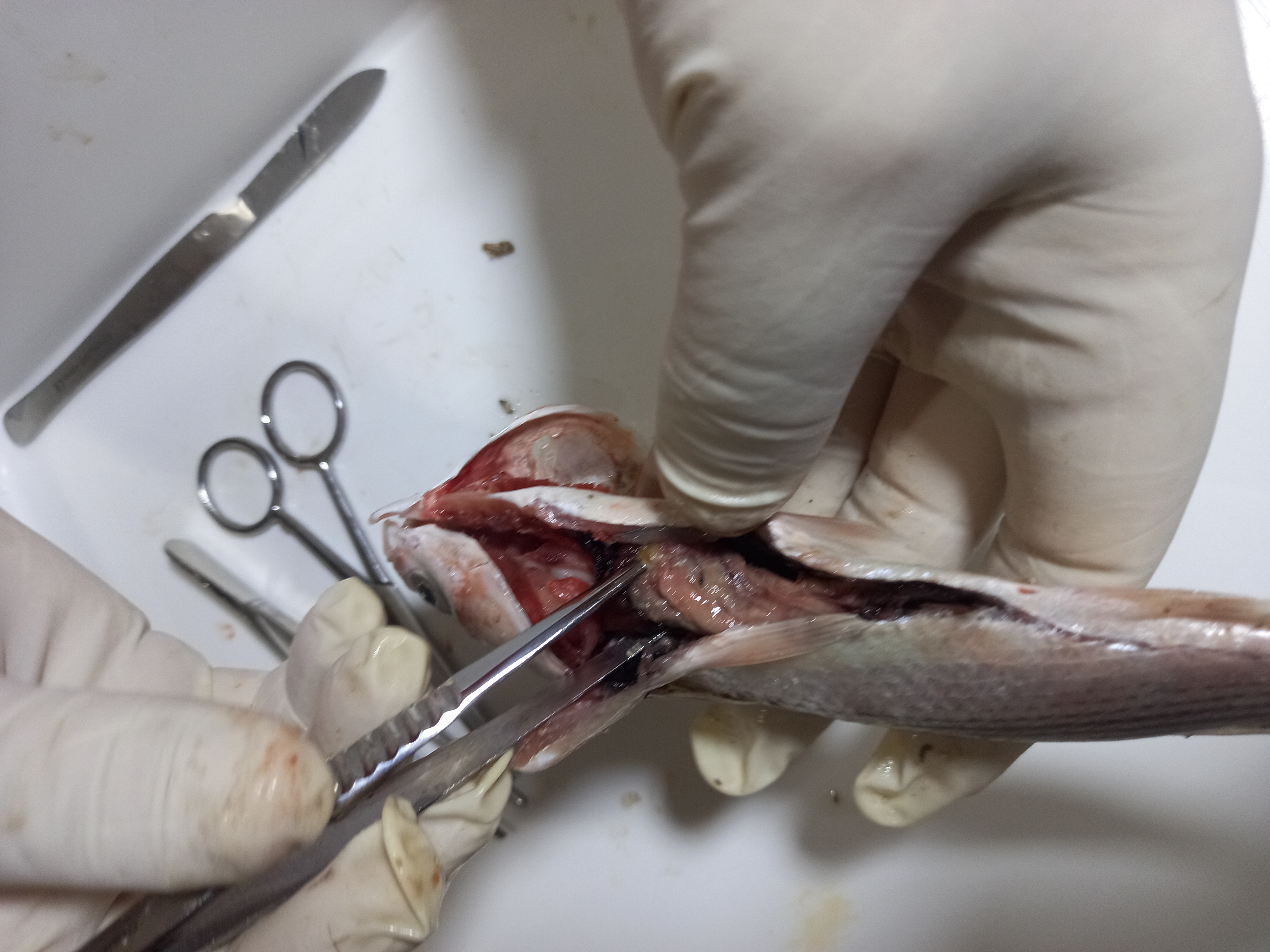 ٢٠٢١٠٩١٩_٢٣٠٣٢٧